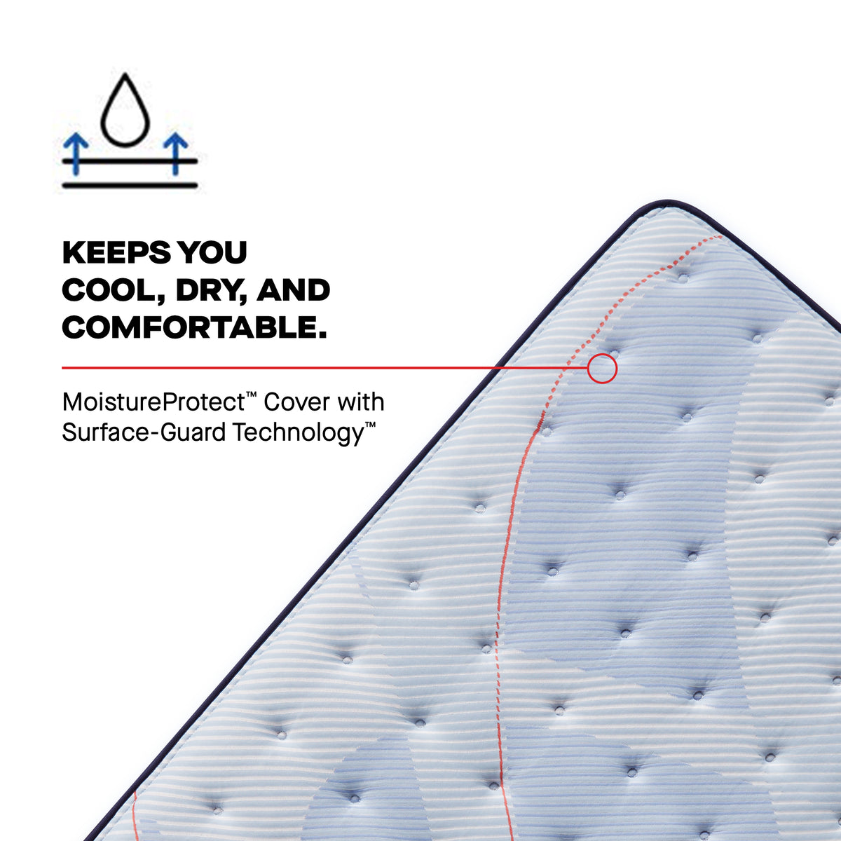 Sealy Posturepedic® Plus Paterson II Medium - Euro Pillowtop