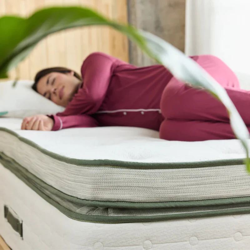 Avocado Green Mattress - Plush Box-Top