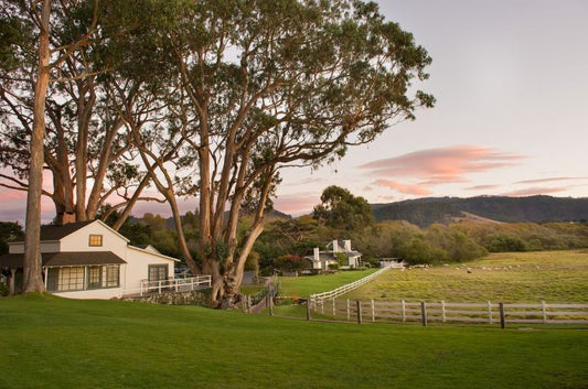 Delivering a great sleep for the guests at Mission Ranch in Carmel