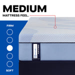 Sealy Posturepedic Plus Paterson II Medium Hybrid Mattress