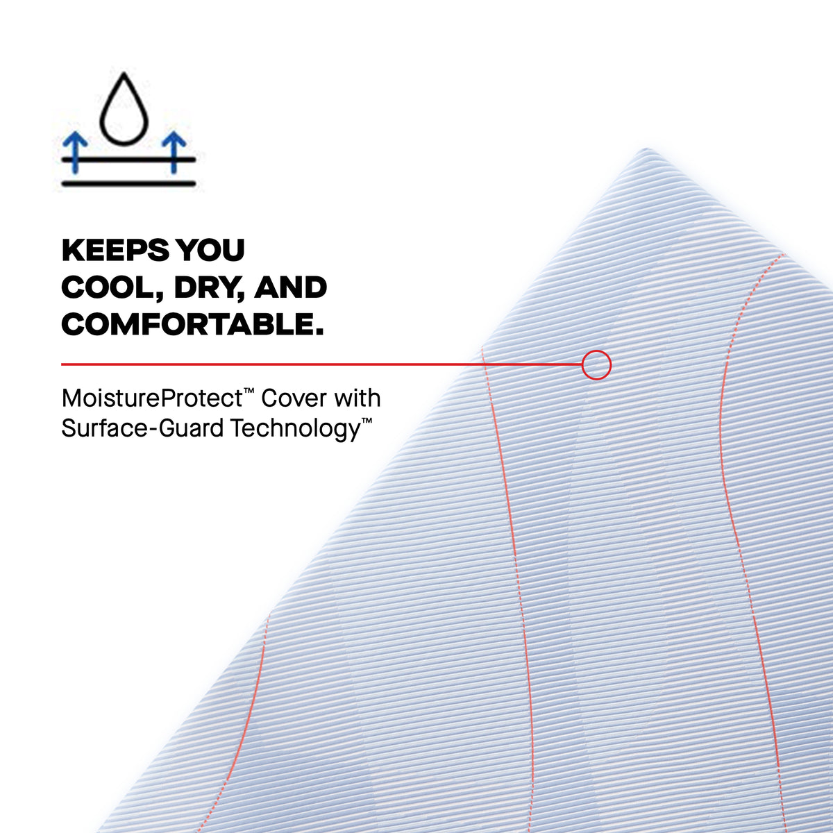 Sealy Posturepedic® Medina II - Hybrid Medium