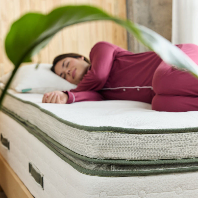 Avocado Green Ultra Plush Mattress: Ultra-Plush Organic Sleep