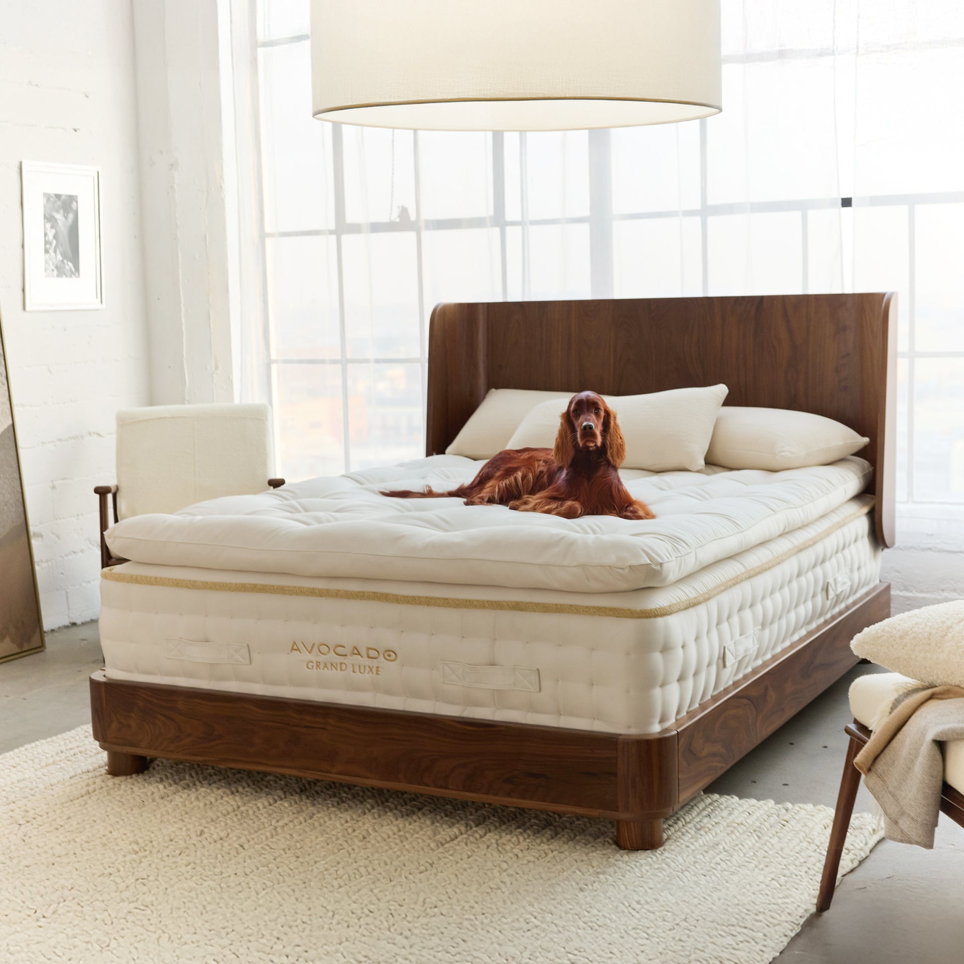 Grand Luxe Mattress - True Heritage Pillow Top